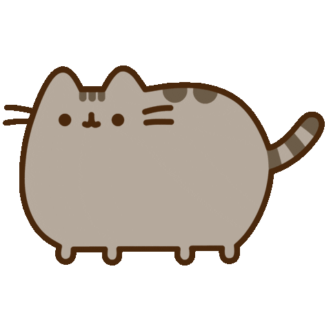 pusheen